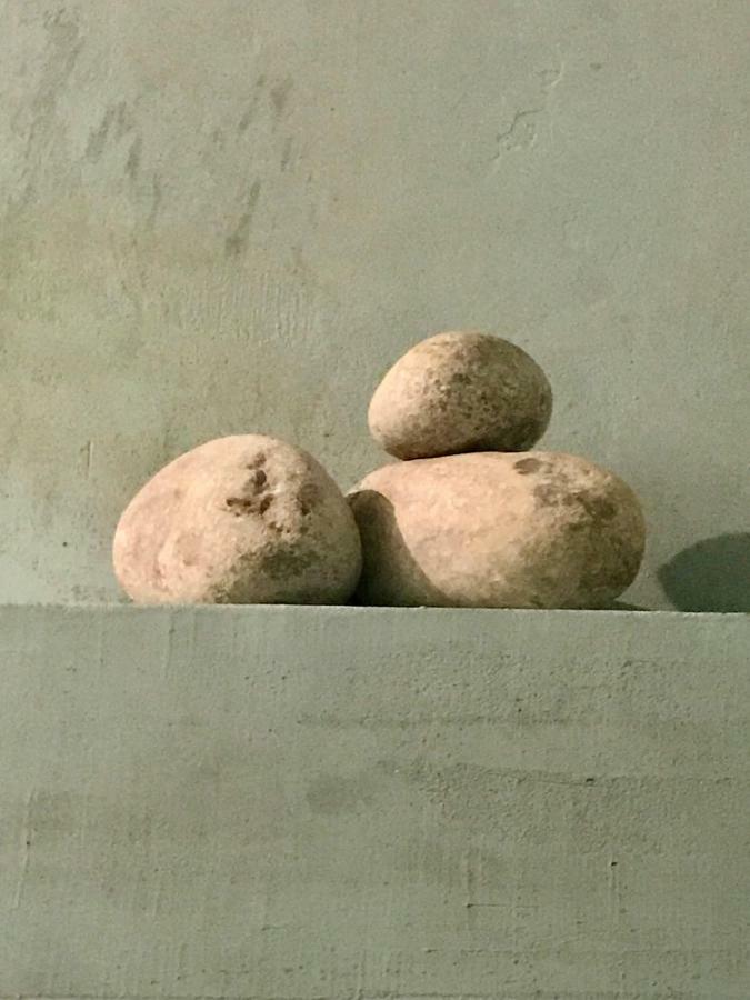 Casa Mingot Sxvi Anciles Benasque Leilighet Eksteriør bilde